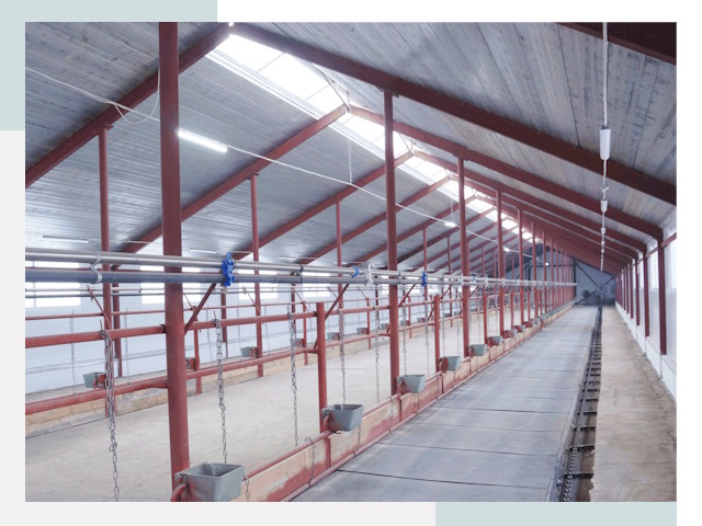 Строительство коровников в Муравленке от 642 руб.