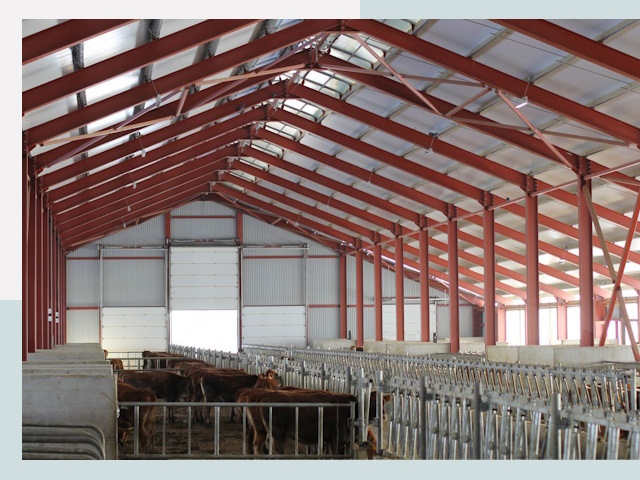 Строительство коровников в Муравленке