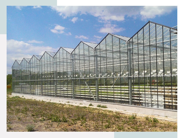 Строительство теплиц в Муравленко от 642 руб. за м²