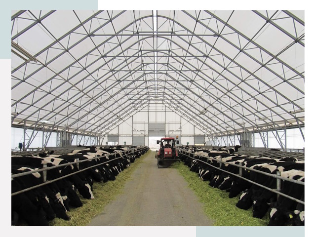 Тентовые коровники в Муравленке от 642 руб. - Надежно и доступно